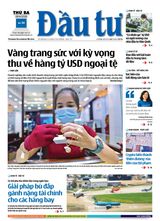 Dau Tu
