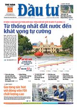 Dau Tu