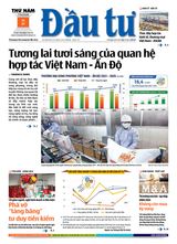 Dau Tu