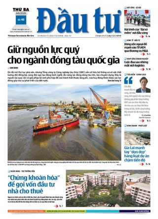 Dau Tu