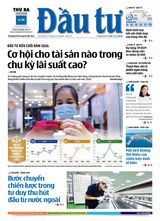 Dau Tu