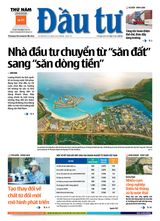 Dau Tu