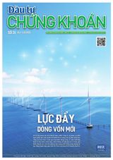 Dau Tu Chung Khoan