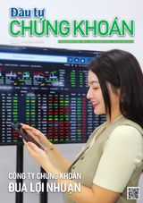 Dau Tu Chung Khoan