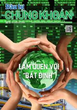 Dau Tu Chung Khoan