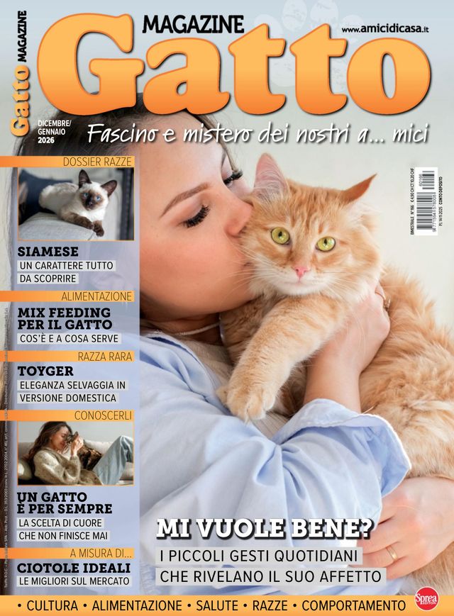 Gatto Magazine