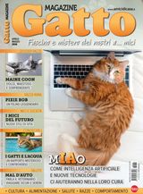 Gatto Magazine
