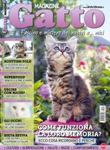 Gatto Magazine