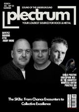 Plectrum