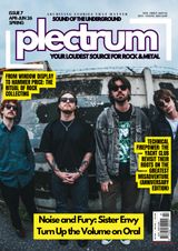 Plectrum