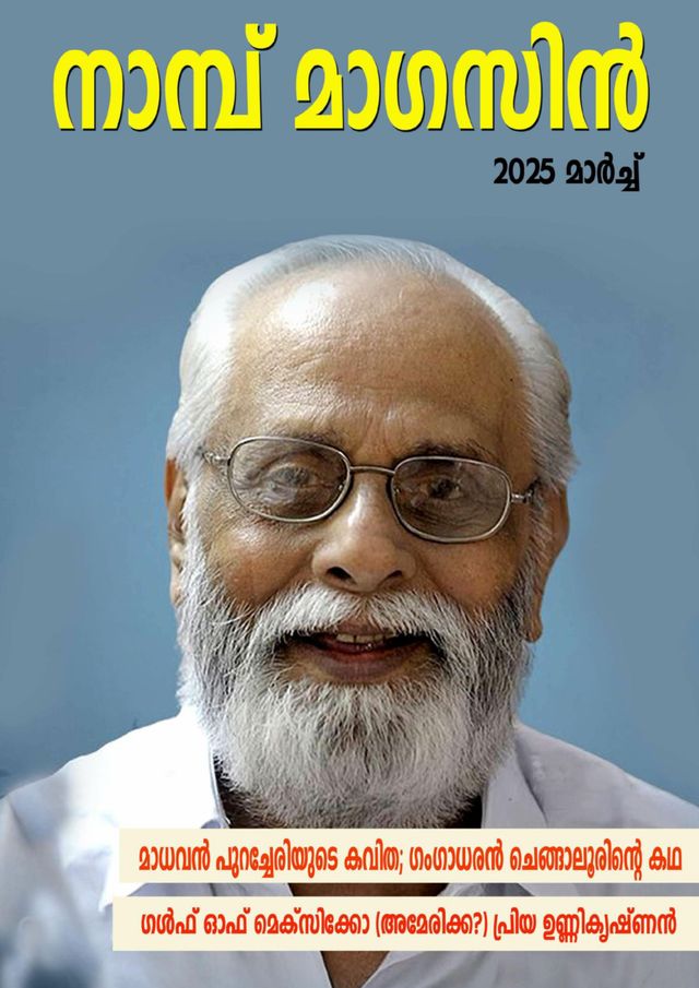 मैगज़्टर गोल्ड के साथ असीमित हो जाओ