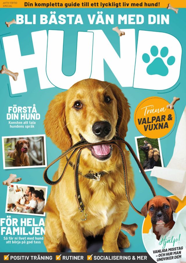 Bli bästa vän med din hund