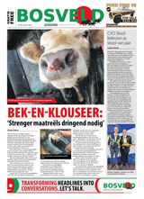 Bosveld Review