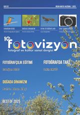Fotovizyon