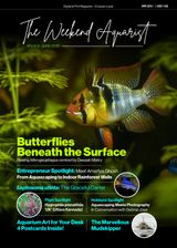 The Weekend Aquarist