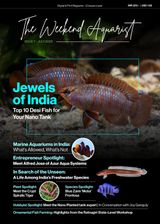 The Weekend Aquarist