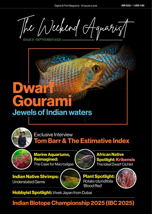 The Weekend Aquarist
