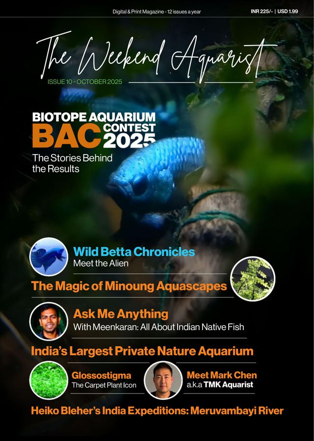 The Weekend Aquarist