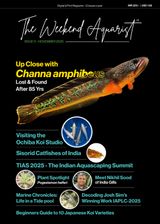 The Weekend Aquarist