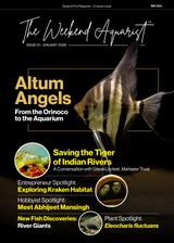 The Weekend Aquarist