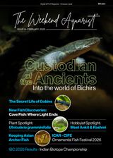The Weekend Aquarist