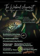 The Weekend Aquarist