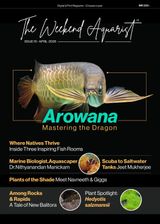 The Weekend Aquarist