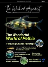 The Weekend Aquarist