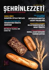 Şehrin Lezzeti 