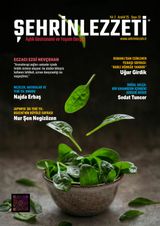 Şehrin Lezzeti