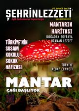 Şehrin Lezzeti