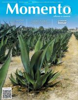 Revista Momento