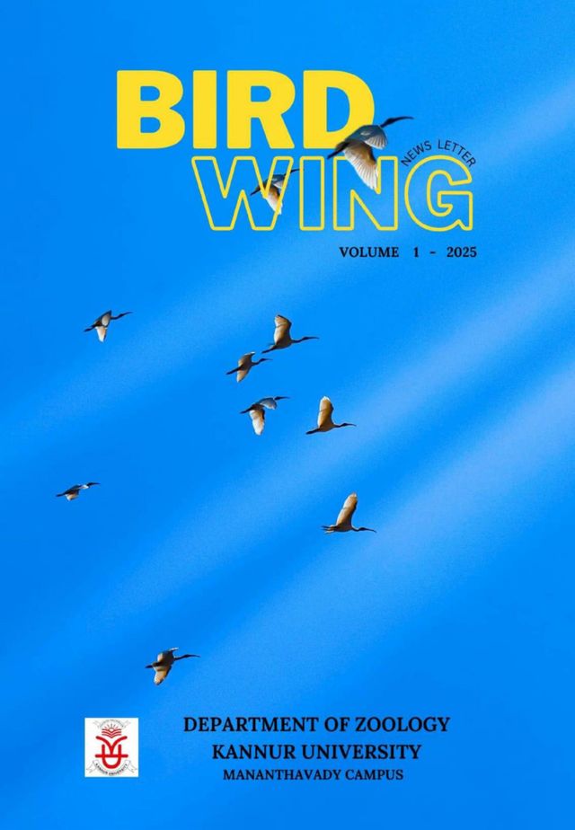 Bird wing