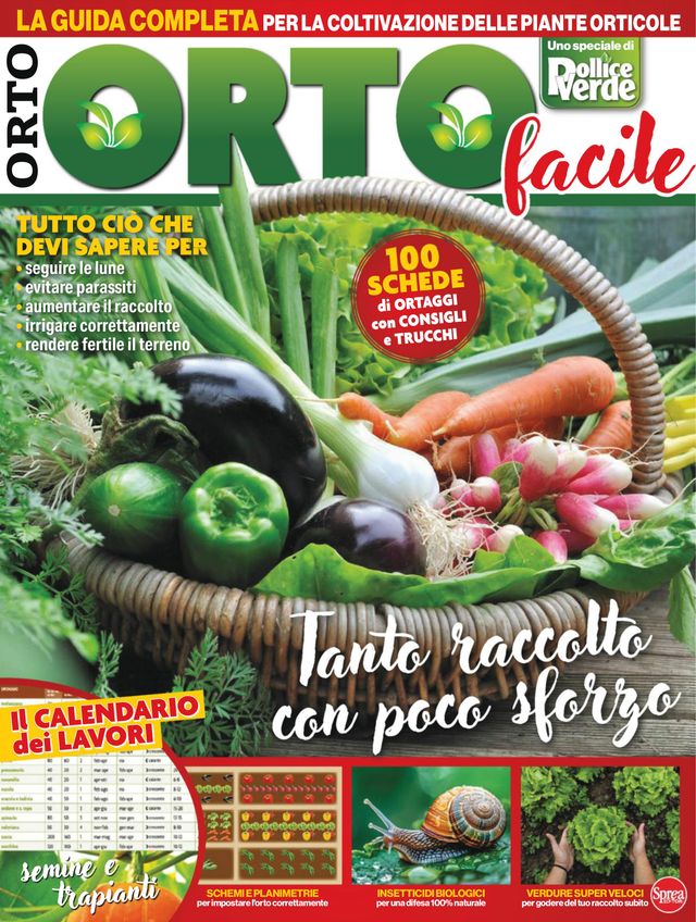 Il mio orto pratico