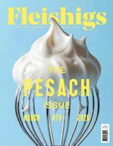 Fleishigs Magazine