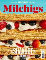 Fleishigs Magazine