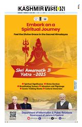 Kashmir Vision