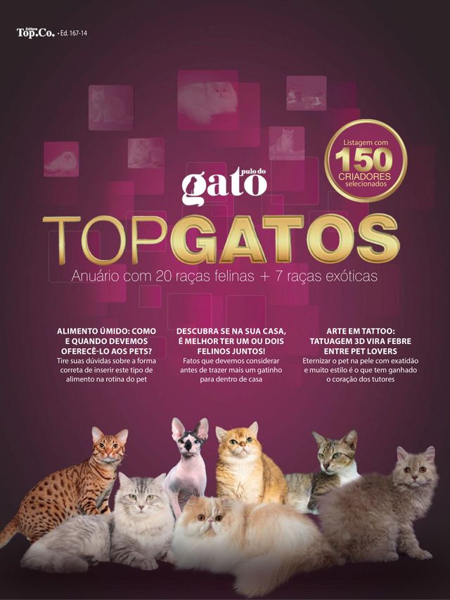 Revista Pulo do Gato