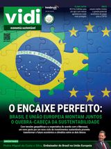 Vidi