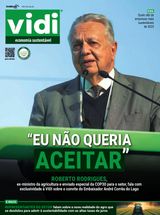 Vidi
