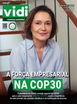 Vidi