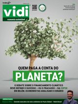 Vidi