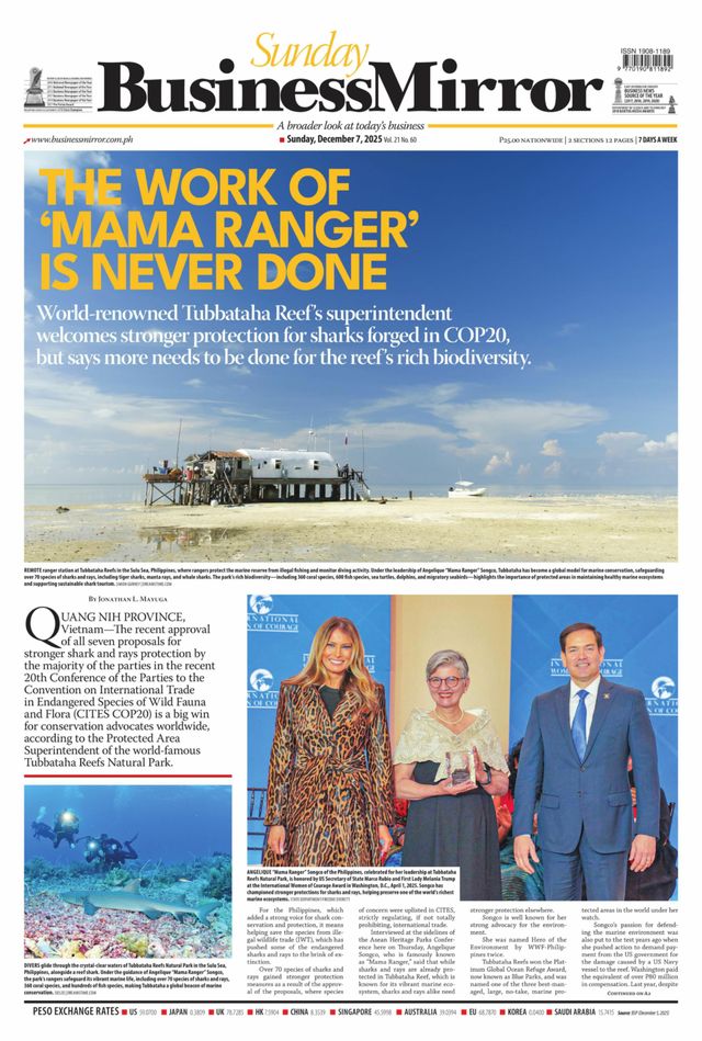 Business Mirror