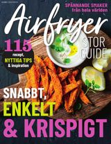 Airfryer – stor guide