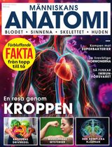 Människans anatomi