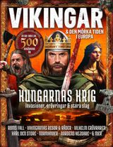 Vikingar och den mörka tiden