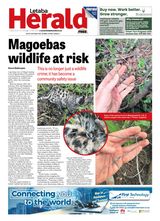 Letaba Herald
