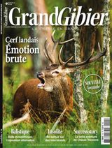 Issue 115
