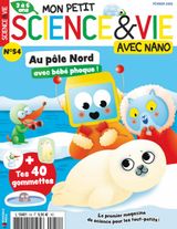 N° 54