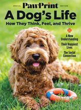 Pawprint : A Dog's Life